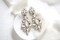 Vintage inspired crystal Bridal earrings with white opal and clear crystals, Special occasion earrings product 3